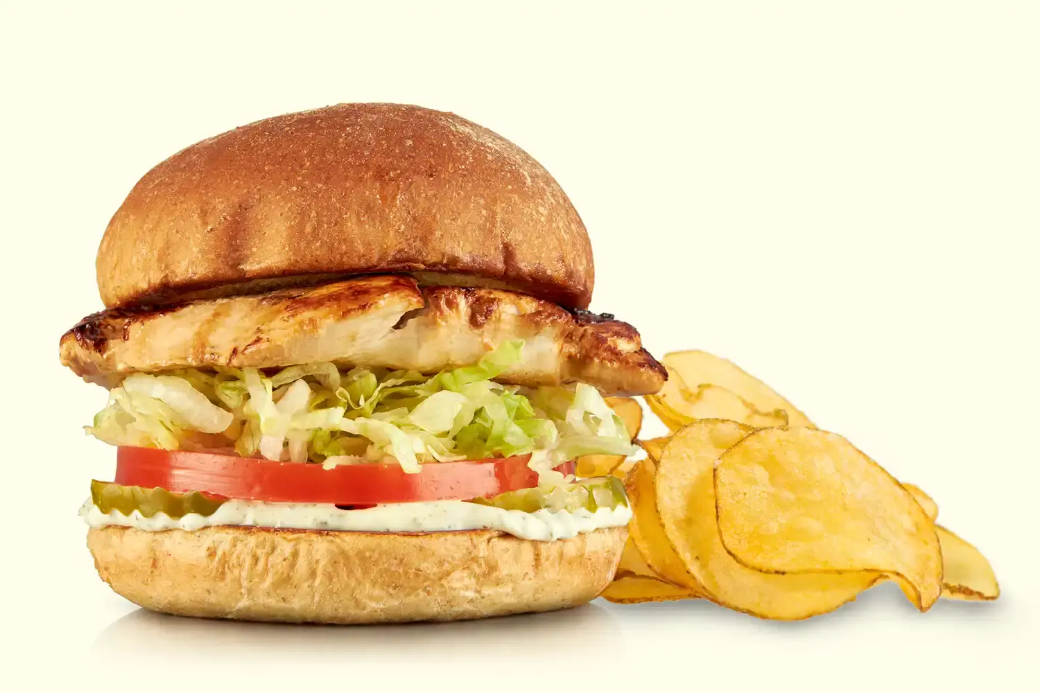 Grilled Chicken Sandwich